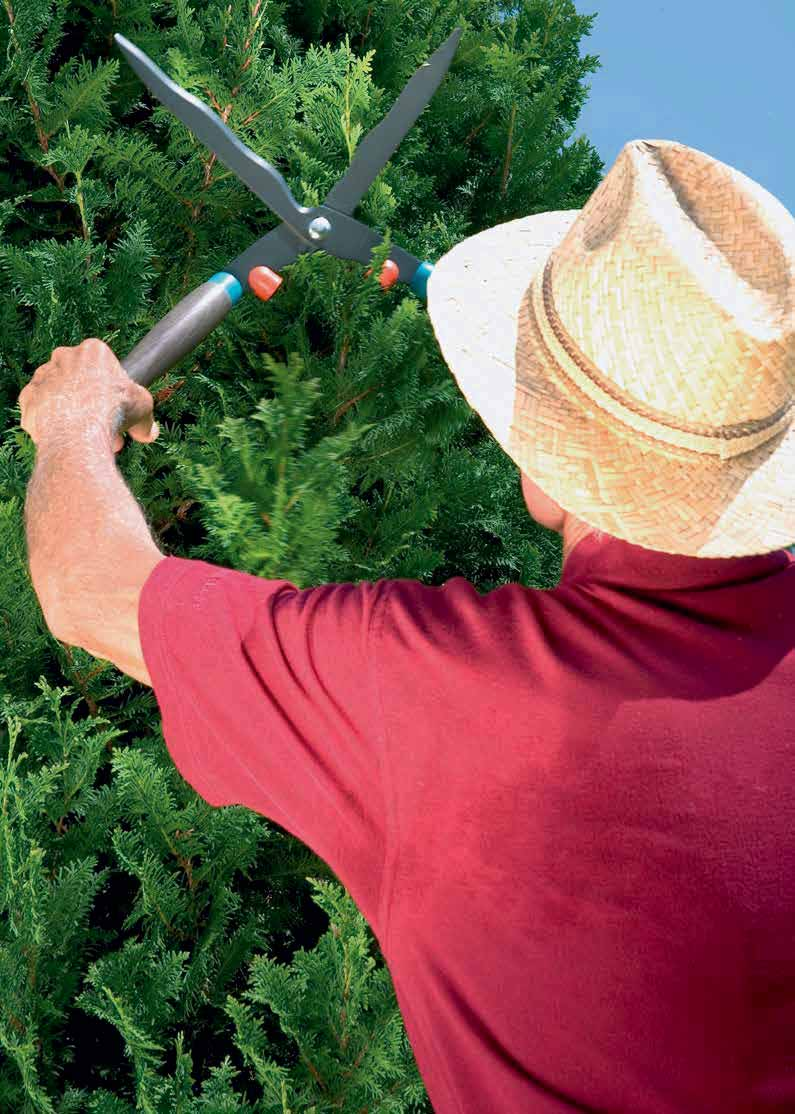 GARDENA sövénynyíró ollók Egyesíti az innovációt és a hagyományos minőséget Formára vágná, vagy nagy felületen visszavágná a növényeit? Nem probléma!