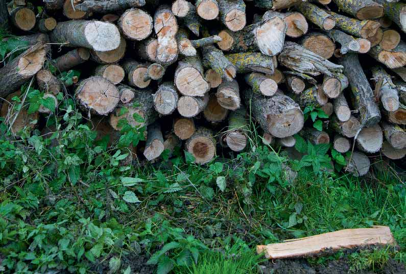 GARDENA kerti fűrészek Sokat tudó választék a ház körüli és a kerti fűrészelési munkákhoz Keretes fűrészek combisystem fűrészek Kerti fűrészek Vastag ágak és fatörzsek vágásához ideális.