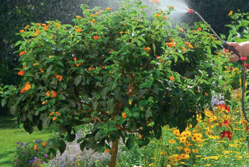 GARDENA permetező készülékek Növényápoláshoz; párásítás, tápoldatozás, növényvédelem A pumpás és nyomáspermetezők hasznos segítőtársak párásításkor, tápoldatozáskor és a növényvédő szerek
