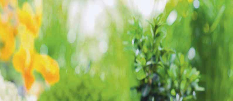GARDENA Micro-Drip-System