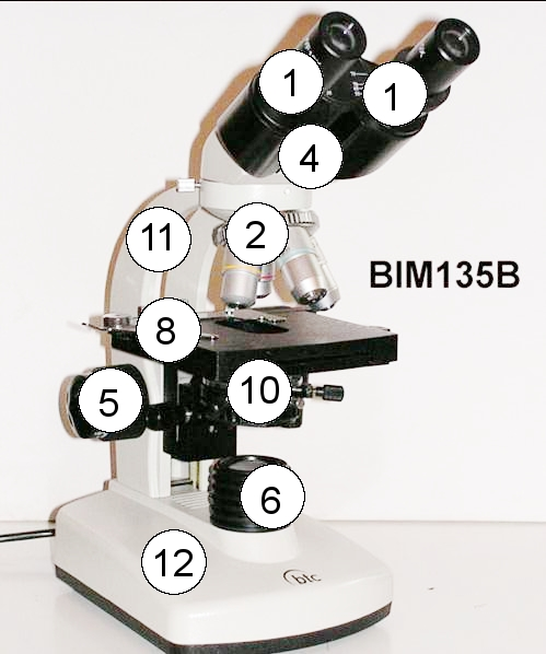 A mikroszkópok részei (1-2. ábra) BIM135V BIM135B 1-2. ábra 1. Okulár 2. Revolverfejbe szerelt objektívek (4 db) 3. Fototubus (csak a BIM135V-n és T-n) 4. Prizmaház 5.
