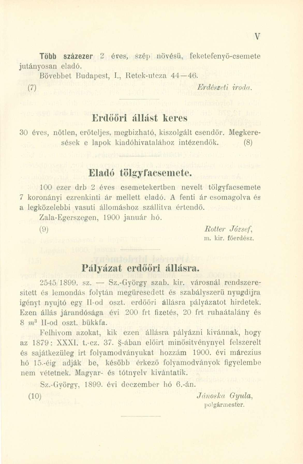 Több százezer 2 éves, szé p növésű, feketefenyő-csemet e jutányosán eladó. Bővebbet Budapest, I., Retek-utez a 44 46. (7) Erdészeti iroda.