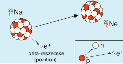 β bomlás β - sugárzás 2) Pozitív β-bomlás p n 0 e ν e A A Z