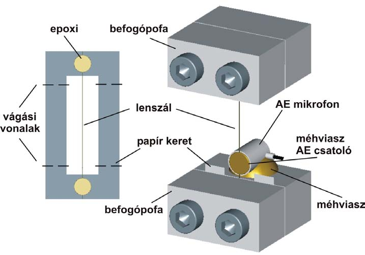 lenszálat a fénymikroszkóp alatt hosszában végigpásztáztam, és megkerestem a legkisebb kontúrszélességét, és ennek szélességét mértem le.