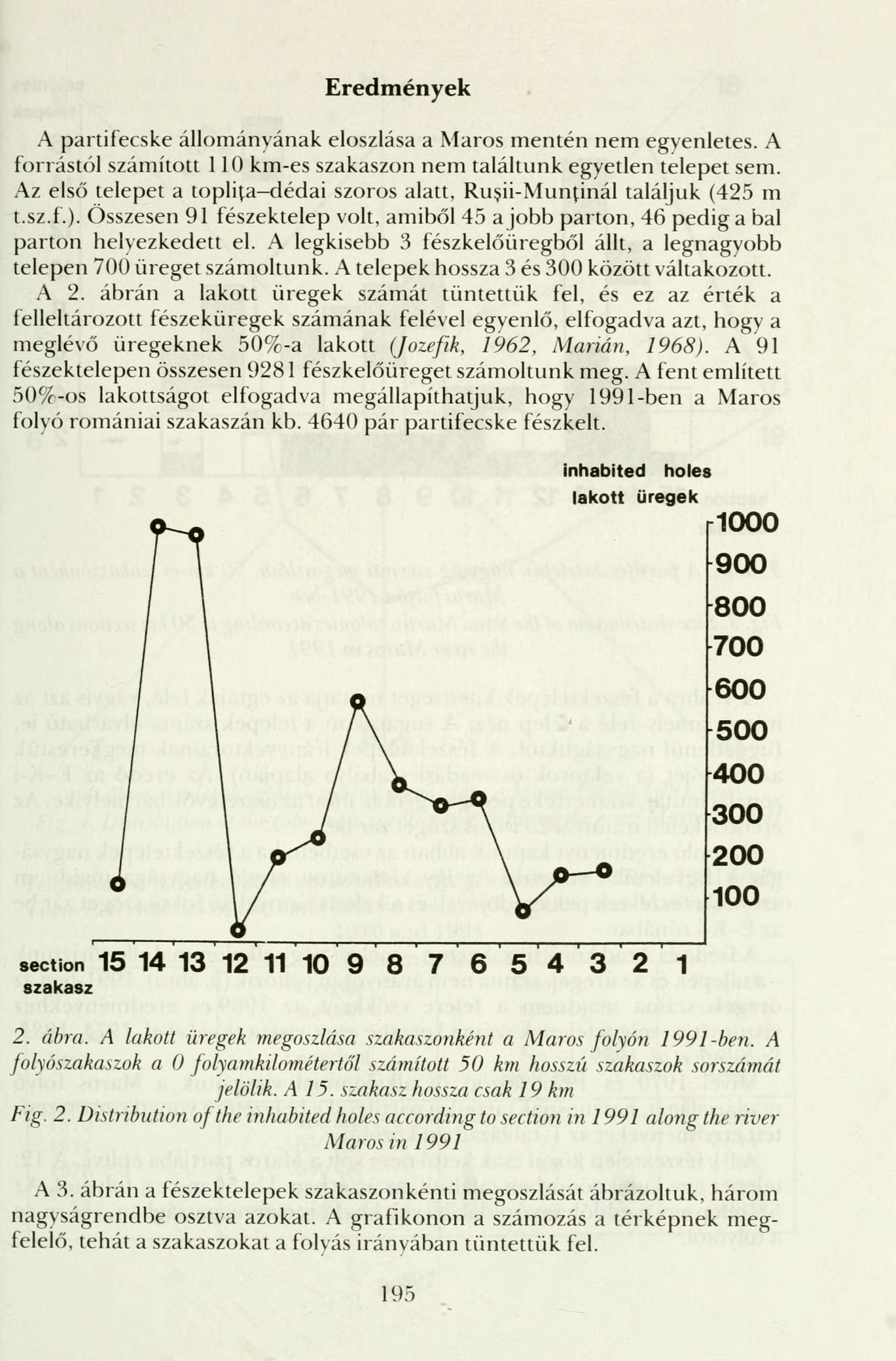 Eredmények A partifecske állományának eloszlása a Maros mentén nem egyenletes. A forrástól számított 110 km-es szakaszon nem találtunk egyetlen telepet sem.