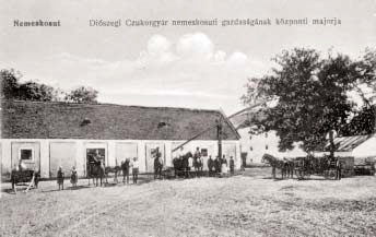 62. A Diószegi Gazdasági Cukor- és Szeszgyár Rt.