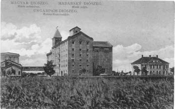 71. A diószegi Mária-mûmalom Szabó Károly malma, Magyardiószeg. Szabó Károly malomtulajdonos mint szövetkezeti vendéglõs 1929-ben megvásárolta a malmot Szabó Sándor társtulajdonostól.