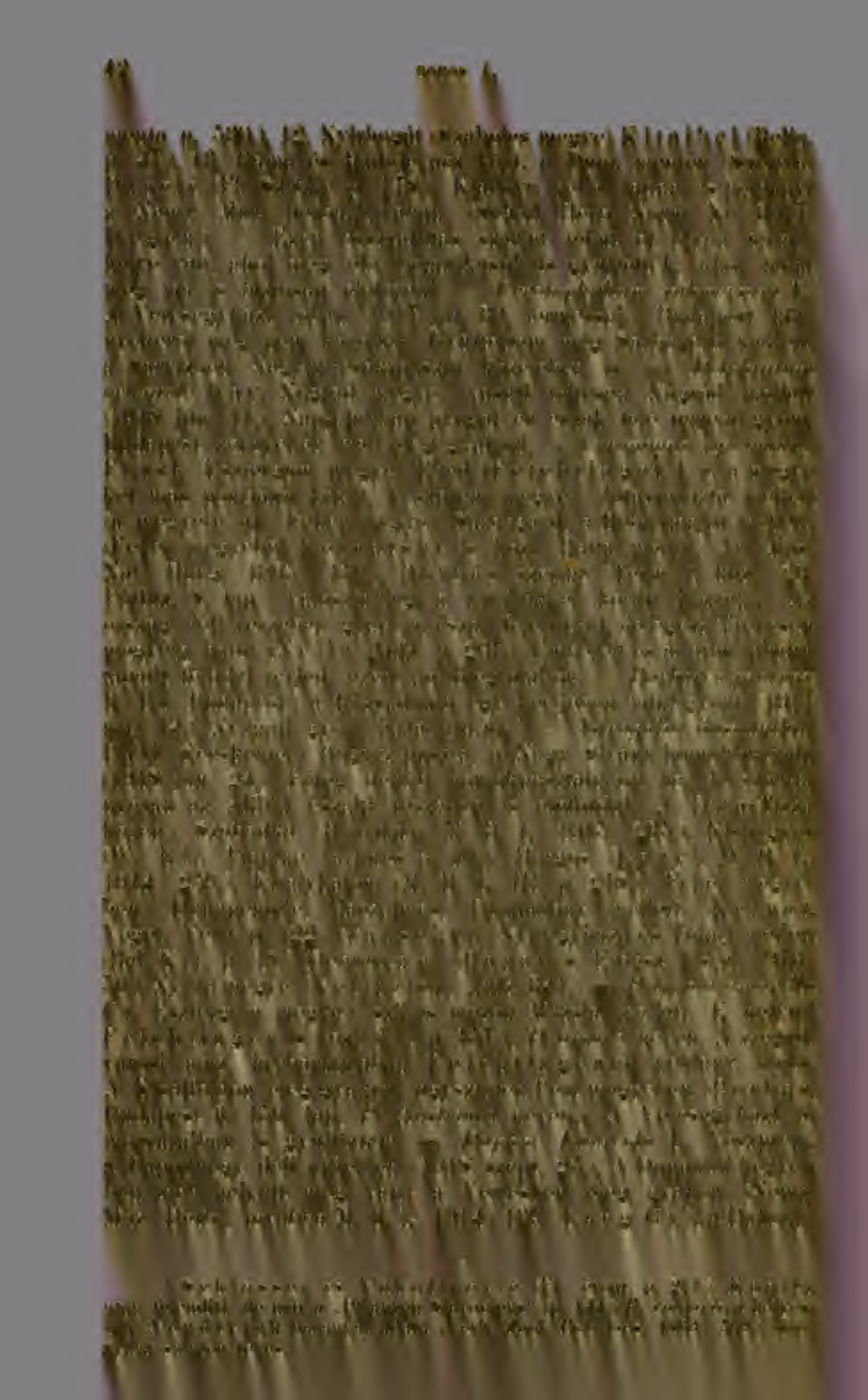 : 42 BOROS k. menta p. 530.). 12. Nyírbogát (Szabolcs megye) Kitaibel (Reliq. p. 47.). 13. Ráma és Eadujevacz közt, a Duna mentén (Szerbia) Pancié (FI Szrbije p. 178.). Kladovo melll láttam is példányt a Nemz.