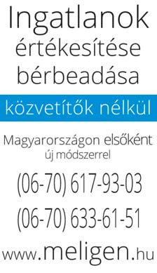 380015 380016 Remaha Avanta 5 év garancia 345.000 Ft-tól Biasi Inovia Cond. 4 év garancia 254.