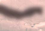 30 18.30 Szo.: 6.30 13.00 V., H.