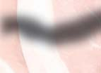 sonka Hajdú füstölt kolbász 12,5 mm 444