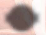 K. P.: 5.00 17.00 Szo.: 5.00 13.00 V., H.