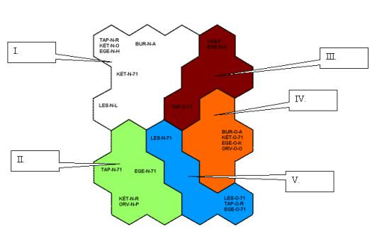 1. ábra A Balatoni befolyók cluster analízisének dendrogramja (rövidítések ld. 1. táblázat). 2. ábra A minták csoportosulása a SOM elemzés során (rövidítést ld. az 1. táblázatban).