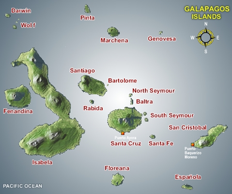 Lack (1947): Galápagosz-szigetek Darwin-pintyei (Geospiza sp.