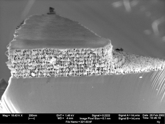 a) 1,0 0,5 0,0-0,5 tan fit(tan) cos fit(cos) =0,044-1,0 200 400 600 800 hullámhossz [nm] 12 ema si/79.4% üreg 12.8 nm 11 ema si/49% üreg 62.5 nm 10 ema si/65.9% üreg 134.4 nm 9 ema si/42.9% üreg 65.