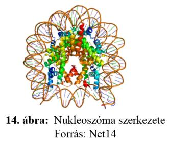 szaporasággal összefüggő tulajdonságaira. Három allélt és hat különböző genotípust detektáltak. A fragmentek hossza: 98 bp, 108 bp, 118 bp.