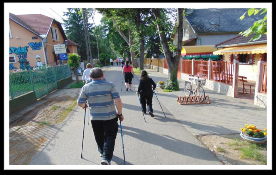 ábra Kép a NW bot használata Forrás: https://www.facebook.com/smbetegek Gyengéd, de több erősségi fokozatban is végezhető, ám igen hatékony edzésmódszer mely az egész testet megmozgatja.