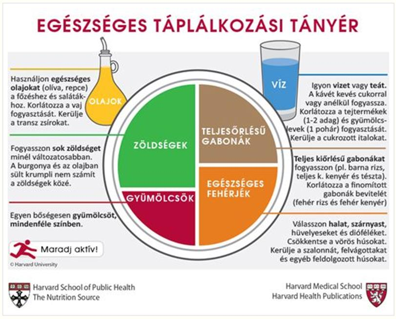 1. ábra A Harvardi Egyetem kutatói által elkészített Egészséges Táplálkozási Tányér Forrás:http://franciaboglarka.hu/szempontok-az-egeszseges-taplalkozashoz/ (eredeti angol nyelvű: https://www.hsph.