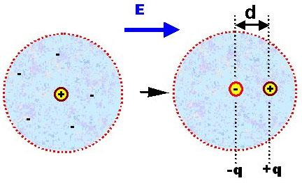 Polarizáció dipólmomentum: = q d polarizáció: P =N a villamos tér hatására az anyag molekulái deformálódnak, a töltések kissé szétválnak, dipólusok alakulnak ki 1.