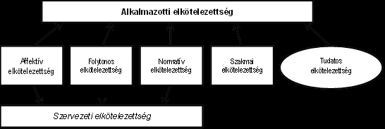 5. Az alkalmazotti elkötelezettség ötfaktoros modellje Az alkalmazotti elkötelezettséget a következőkben olyan ötdimenziós fogalomként értelmezem, amelyben a Meyer-Allen-féle szervezeti
