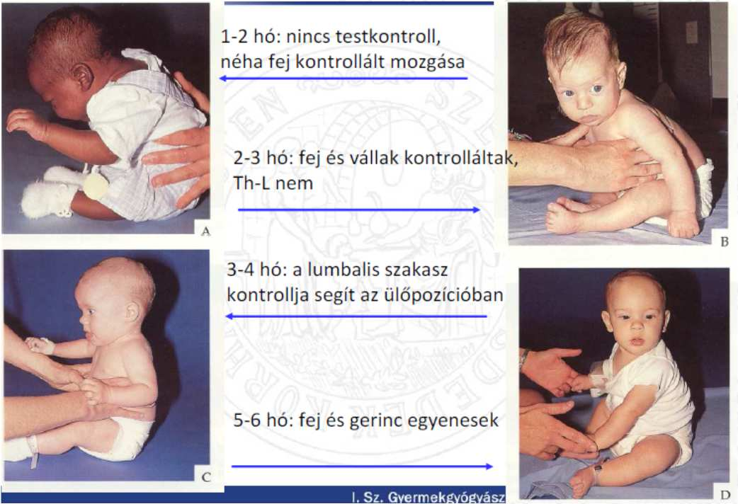 Ülő
