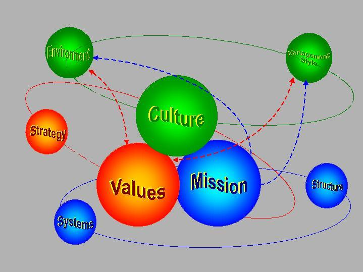 A szervezet felépítése (Robin Cook 2000, nyomán) 4+2 modell elsődleges Stratégia