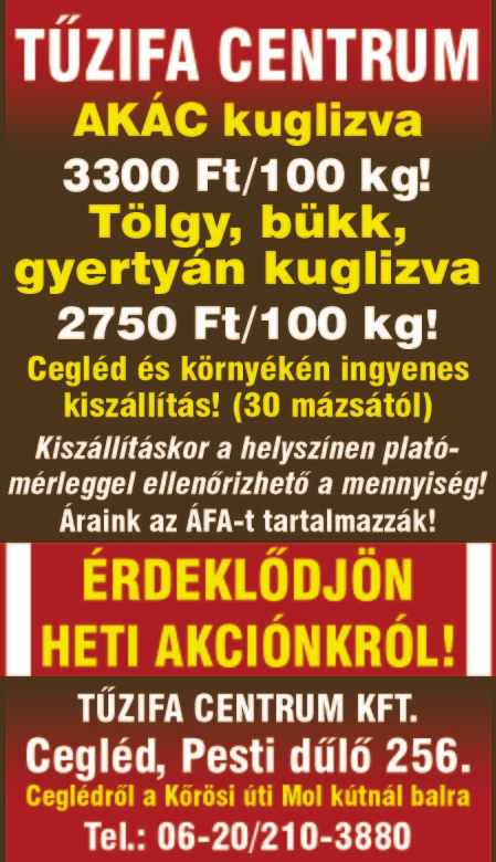 4 2017. február 27. A BONYBAN, 200 nm-es, tetőtérbeépítésű ház nagycsa ládosoknak /anyaotthon - gyerekotthon/ eladó 1000nm-es kert örökzöld, 2m magas tég lakerítés. Ár: 25,5.mFt.