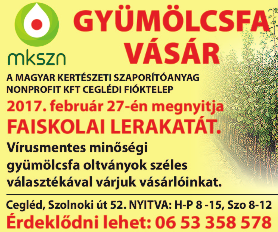 www. dpmsz. hu 5 IPARI ezüst, amalgám, platina, palládium felvásárlása bármilyen formában non-stop. 06-70/292-1004 DOBOS Tűzifa Kft. Csemő eladó akác és tölgy tűzifa.