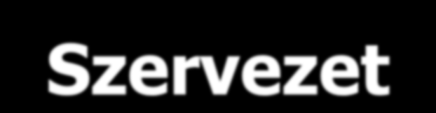 INFOWARE Szervezet Vezérigazgató Kertész S.