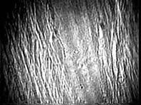 mn/m-nél, D: Π=12 mn/m-nél