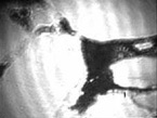 60 5.2.3.2 Kétkomponensű rendszerek Brewster-szög mikroszkópos vizsgálata A vizsgált rendszerek Brewster-szög mikroszkópos felvételeit mutatom be a következőkben. A 21.