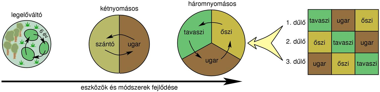 IV. A középkor Elemezze a