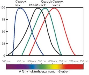 eloszlása Tárgy felületének reflexiós spektrális