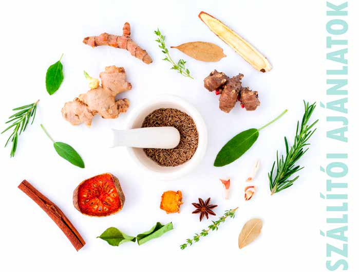 SZÁLLÍTÓI AJÁNLATOK MEGRENDELŐLAP MEGRENDELÉSÉT A WWW.BELLIS.HU HONLAPON KERESZTÜL, VAGY A 06-1-459-8320-AS FAX SZÁMON ADHATJA LE. HUNGARIAN FLAVOURS KFT. Az ajánlat időtartama: 2017.
