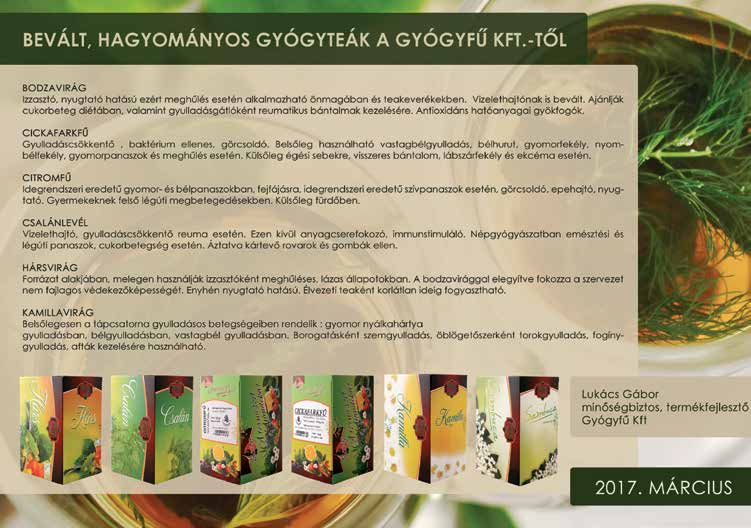 március január 1 - február március 28. 31. Az akció kizárólag a webshop.bellis.hu www.bellis.hu honlapon keresztül vagy ezen a a megrendelőlapon leadva érvényes!