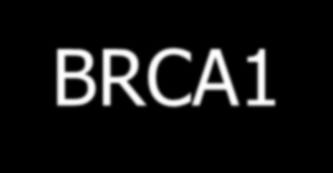 BRCA1-gén hordozó.