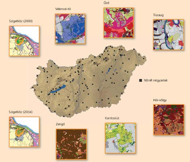 NBmR folytatás Élőhelyek monitorozása: 125 db 5x5 km-es négyzet került kijelölésre a természetvédelem, a regionális problémák és az általános táji reprezentáció szempontjainak figyelembe vételével