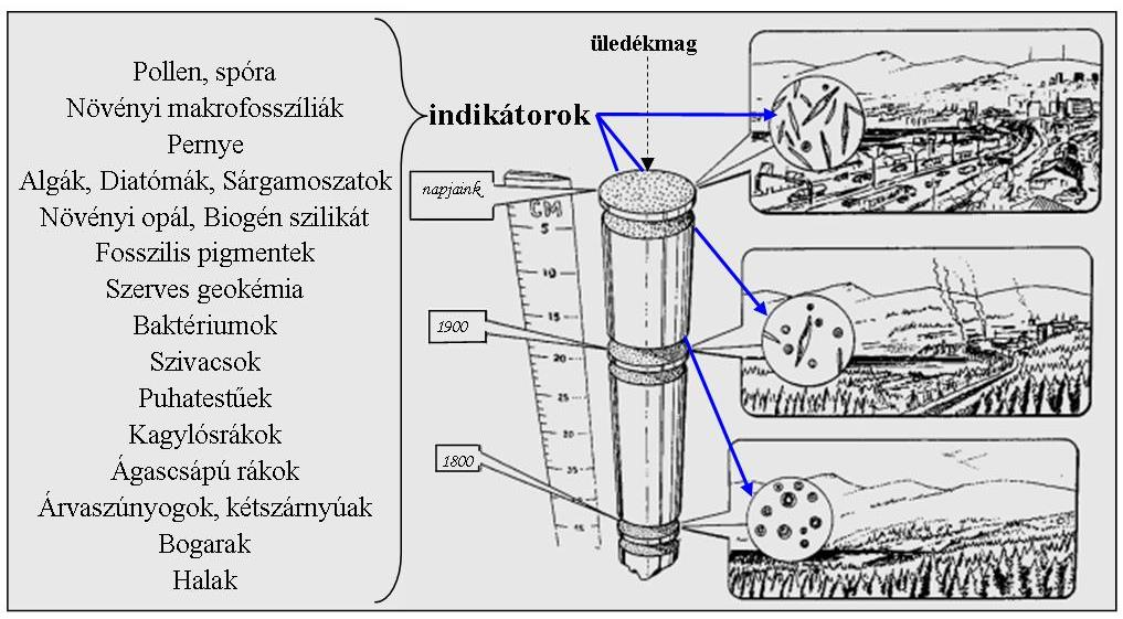 Irodalmi áttekintés 1.ábra. Az egykori környezet rekonstruálása tavi üledékből biológiai indikátorok segítségével (Smol 2008). 3.