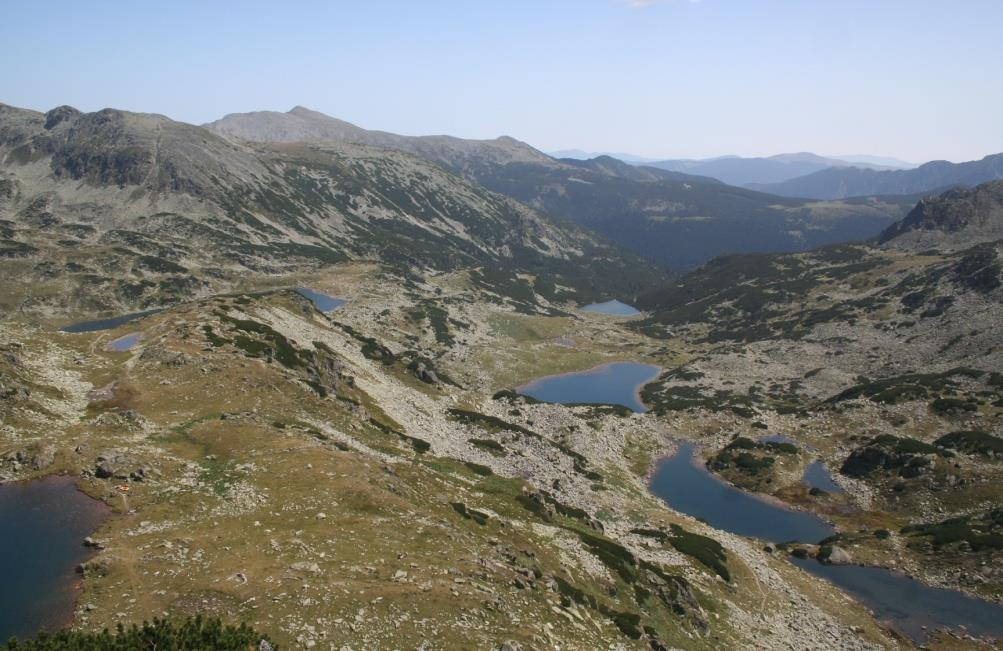 Eredmények forrásokhoz, felső tavakhoz (headwater) kötik az elterjedését. (http://craticula.ncl.ac.uk/eadiatomkey/html/taxon13010490.html).