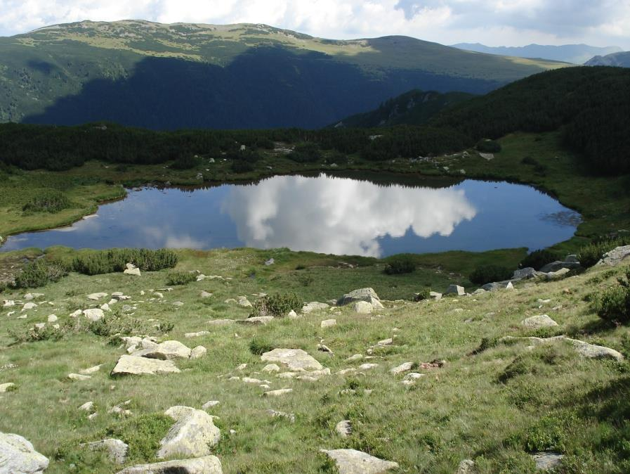 Eredmények bizonyult leginkább meghatározónak, a Daphnia longispina (54%) és az Alona affinis (30%).
