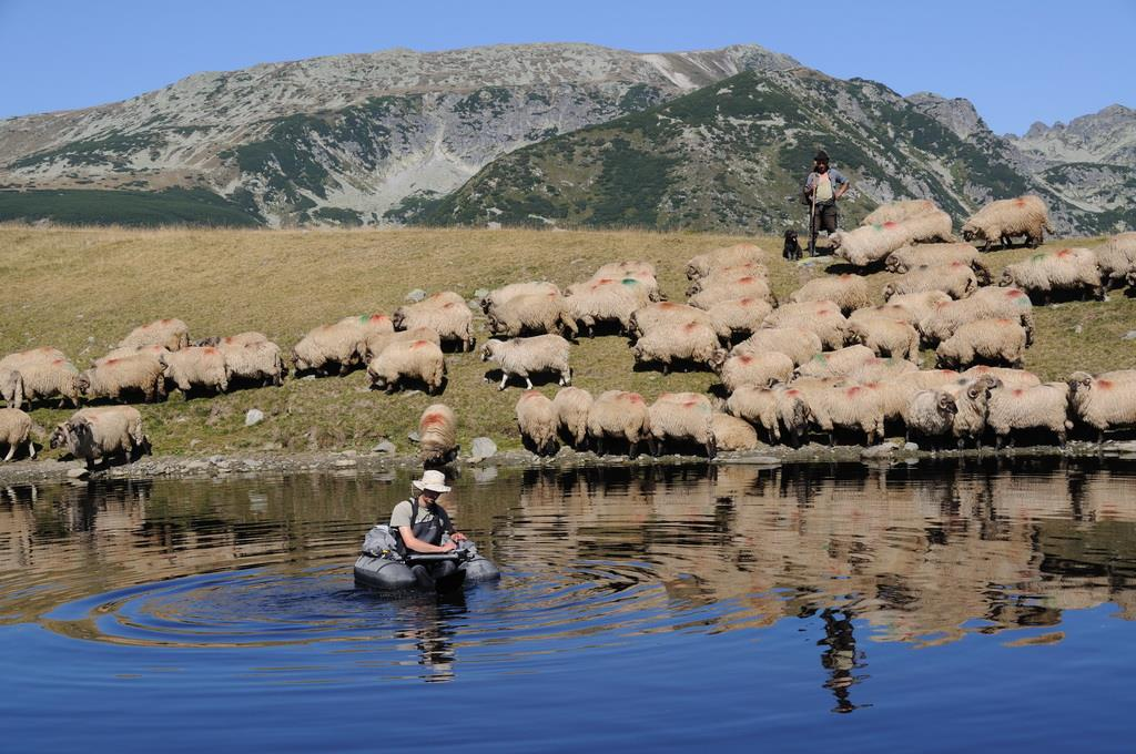 Eredmények szemmel láthatóan eutróf, gazdag fauna (gőték, békák, kis rákok) jellemzi. A többi tisztavizű oligotróf tengerszemre már semmilyen tekintetben nem hasonlít.