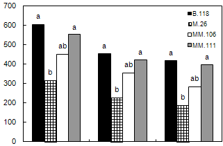 vizsgálatba vont alanykombinációk esetében