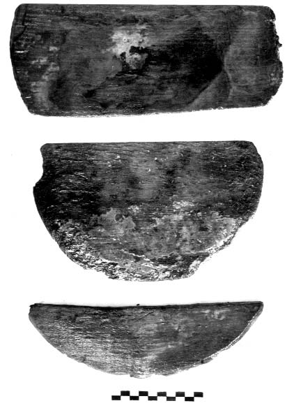 3: Dongák Conservation of the