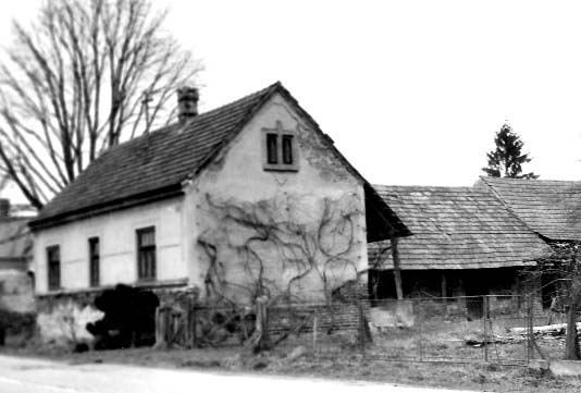 294 Kerecsényi Edit 1.
