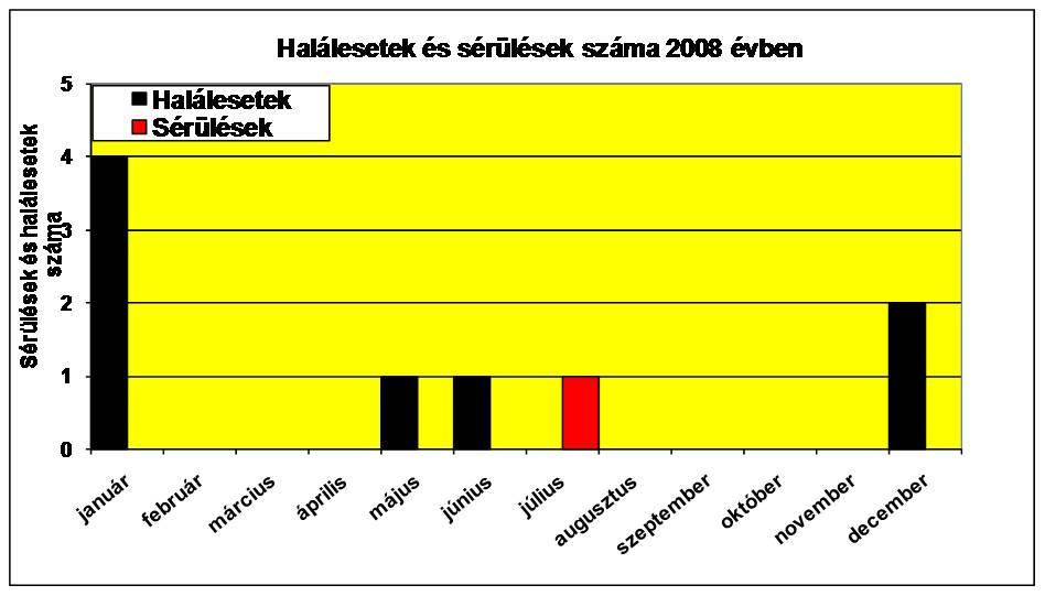 4.2.1 A független szakmai vizsgálatok tapasztalatai 2008-ban a hivatásos hajózásban nem történt halálos baleset.