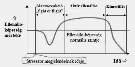 a rezisztencia szakasza következik. Ez a szakasz akkor alakul ki, ha kiváltó hatás folyamatos jelenléte mellett kialakul a megfelelő alkalmazkodás, az ellenállóképesség fokozódik.
