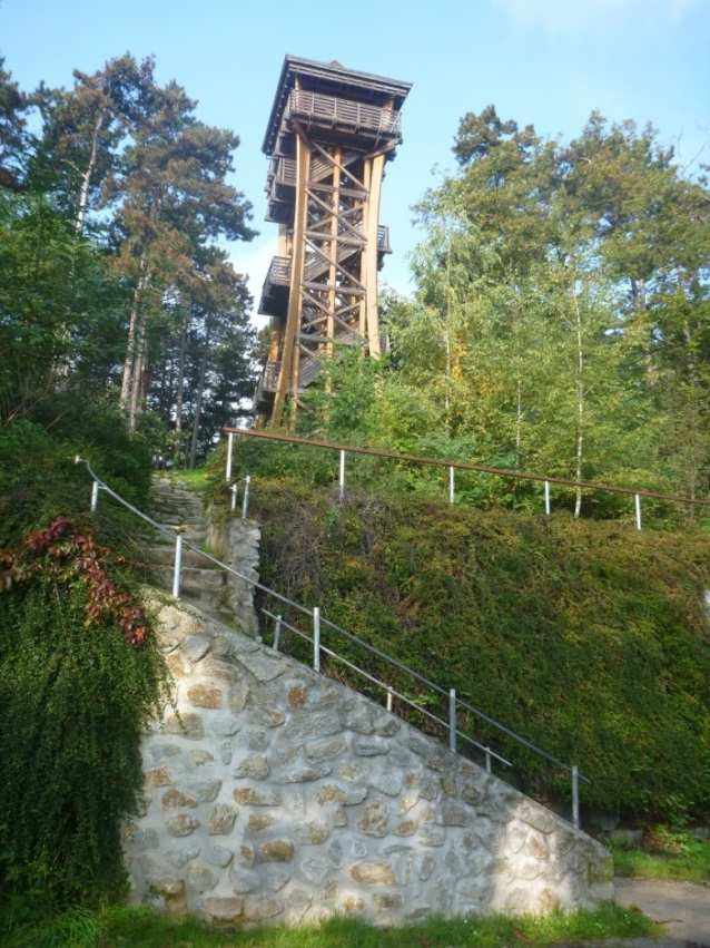 3.3. Erdei közösségi terek vizsgálata a Deák-kúti forrást, a Ciklámen-tanösvényt és a Lővér Kalandpark attrakciókat is, területi közelségük miatt. Ez várhatóan a legfrekventáltabb helyszín.