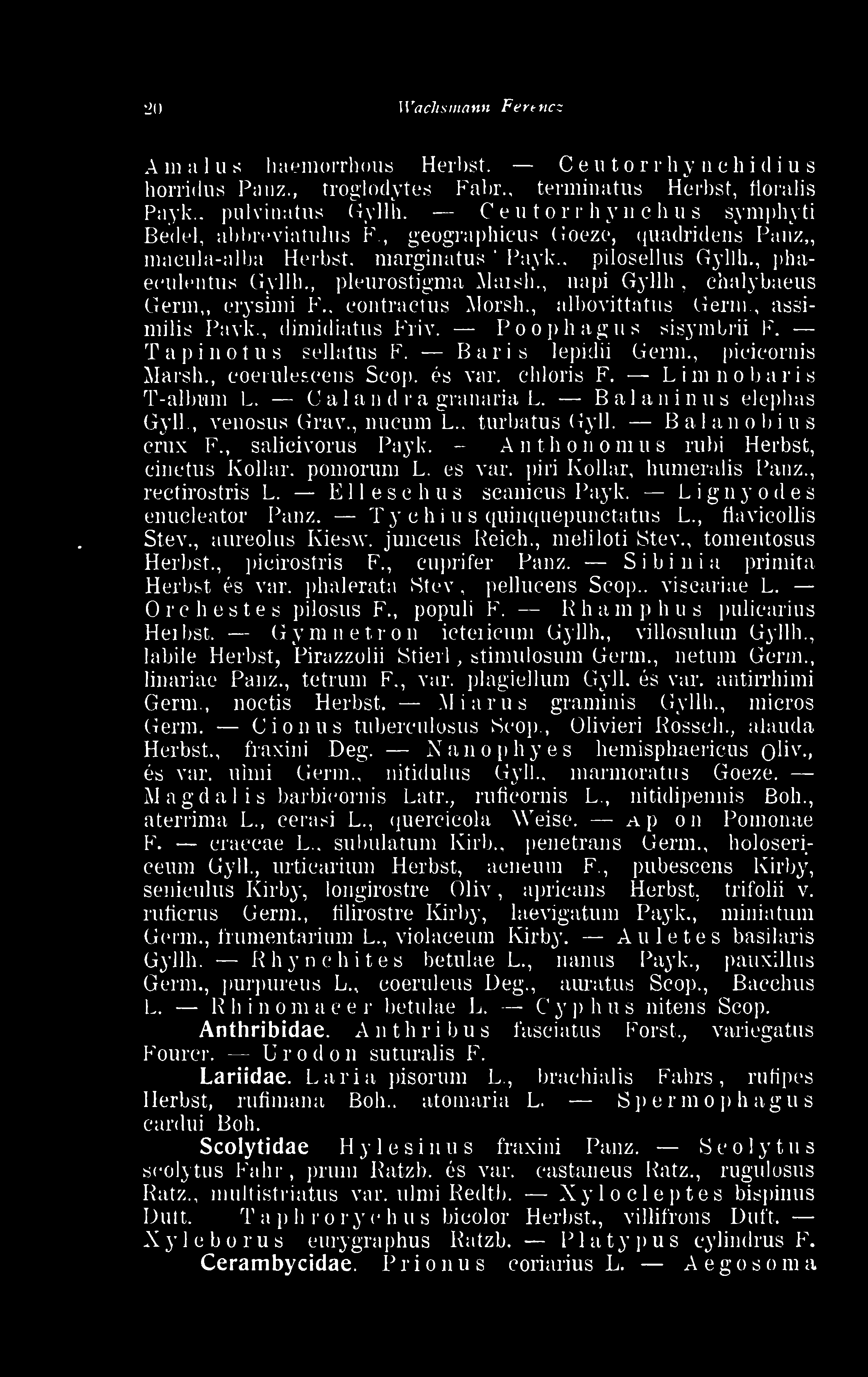 , chalybaeua Germ,, erysimi F., contractus Morsh., albovittatua Germ., assimilis Pavk., dimidiatua Friv. Poophagua sisymbrii F. Tapinotus sellatua F. Bar is lepidii Germ., picicornis Marsh.