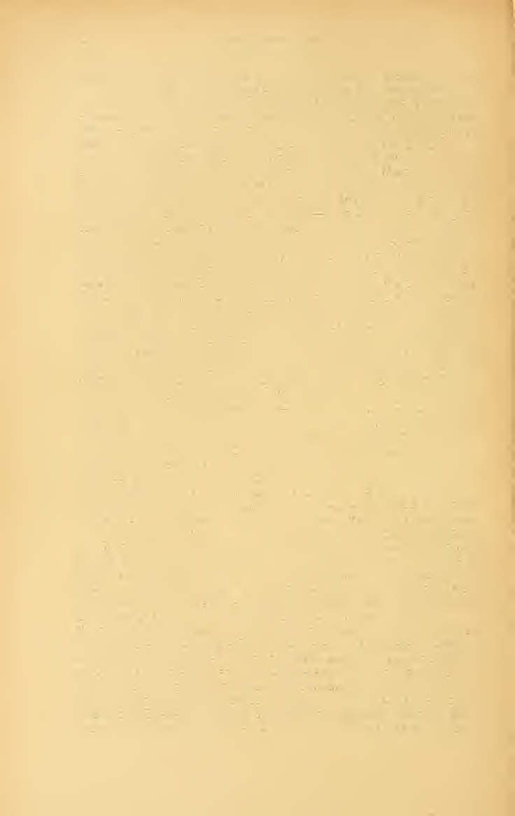 L2-guttata 22 Wachsmaun Ferencz xanthopus Schrank. flavipes L. Lochmaea crataegi Forst, Galcru cella nymphaeae I,., lineola F., ealmariensis I,. Galeruca tanaceti F, pomonae Scop.