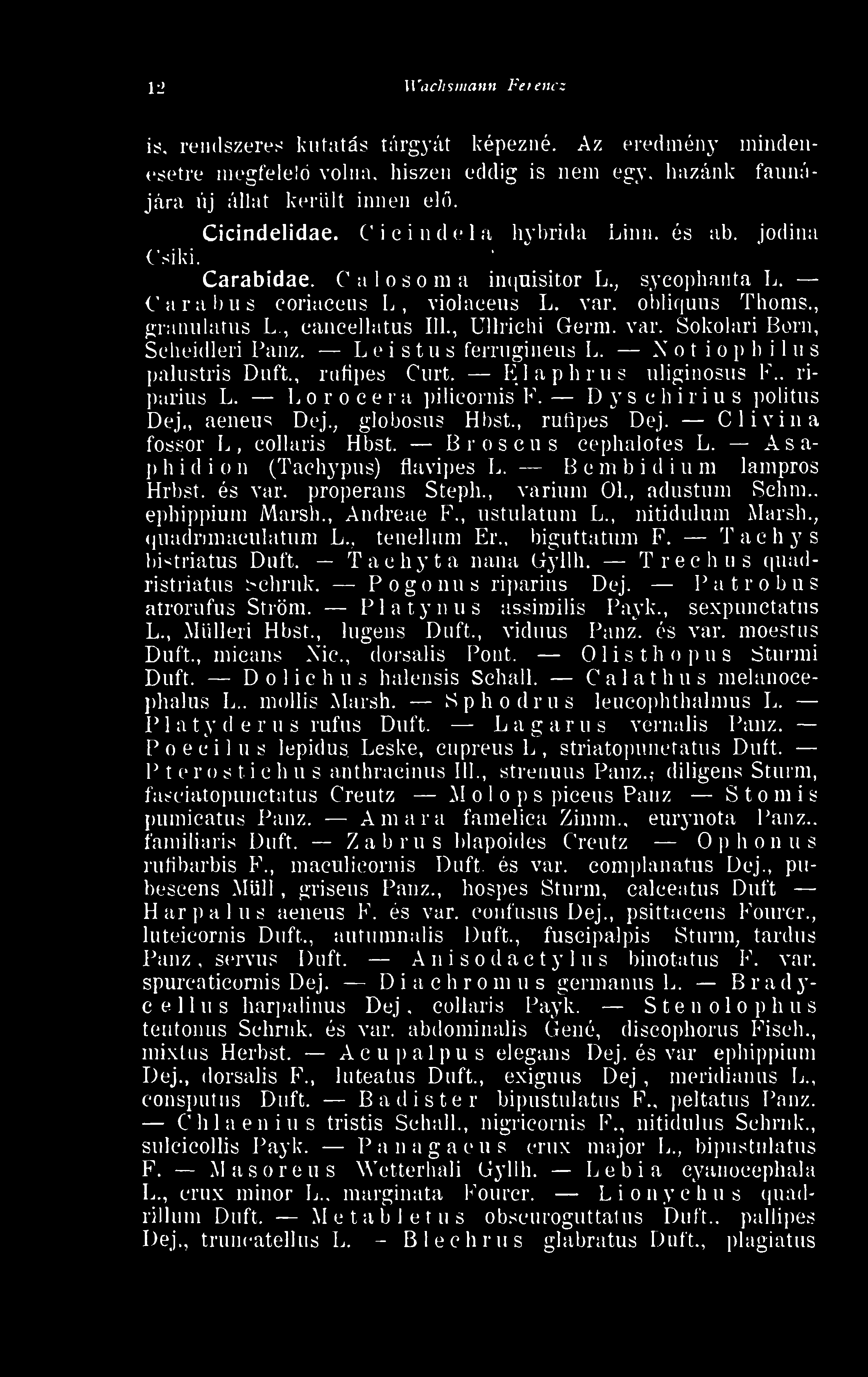 var. Sokolari Boni, - Scbeidleri Panz. L ei stus férrugineus L. N o t iop b ilus palustri8 Duf't.. rnfipes Curt. Elaphrus nliginosus F., riparius L. Loroeer a pilicornis F.